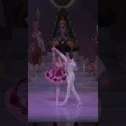 The Nutcracker Grand Pas De Deux