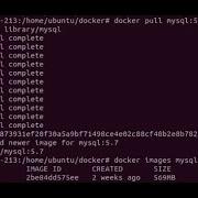 Setup Mysql 5 7 With Docker On VPS