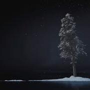 Growing Tree Houdini