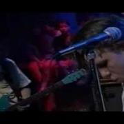 Blind Melon Wilt Intimate Interactive