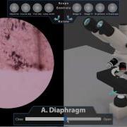 3D Virtual Microscope Lab Demo Oregon State Ecampus