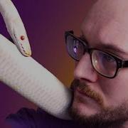 Python Vs Boa What Is The Difference