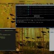 Angular 2 Tutorial Getting Started With Angular 2