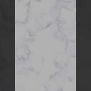 Natural Selection Lab Simulation