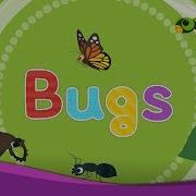 Bugs Kids Vocabulary Learn English For Kids English Educational Video