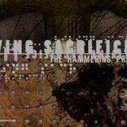 Living Sacrifice Altered Life