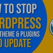 HOW TO DISABLE WORDPRESS CORE THEME PLUGIN AUTO UPDATE
