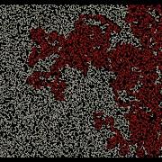 DFS Visualization 20 000 Vertices Graph Traversal Python Pygame