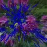 Optical Flow