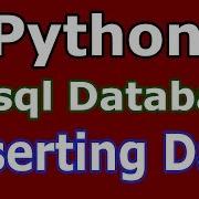 Python Mysql Database Inserting Data 28