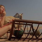 Beach Camping With Camel In Desert