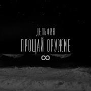 Дельфин Audio