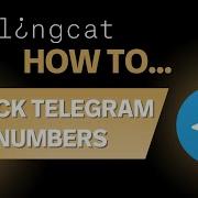 How To Use Bellingcat S Telegram Phone Number Checker