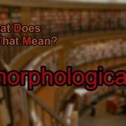 What Does Morphological Mean