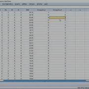 SPSS Identifying Duplicates