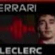 Charles Leclerc I Am Stupid Shorts
