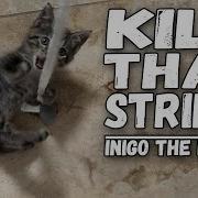 Inigo The Kitten Kill That String