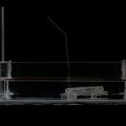 Multifunctional Soft Robots
