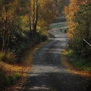 Painting Techniques For Autumn Landscapes Learn To Paint Trees