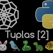 41 TUPLAS EN PYTHON PARTE 2 REGISTRO DE MASCOTAS EJERCICIO RESUELTO Curso Python Desde Cero