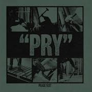 Pry