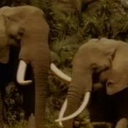 BBC2 Continuity 13th January 1996