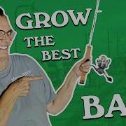How To Get Bait Size Worms