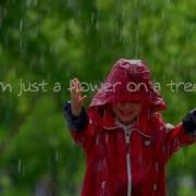 Gintama Mr Raindrop W Lyrics