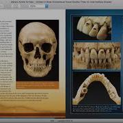Written In Bone Buried Lives In Jamestown Chapter 5 Part 2