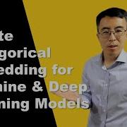 Categorical Embedding For Training Machine Deep Learning Models