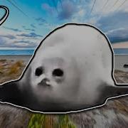 Bouncing Seals 2025 VR 360