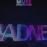 Muse Madness Lyrics