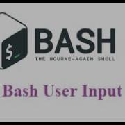 Bash User Input