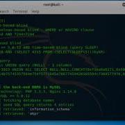 WEBSITE HACKING USING SQLMAP