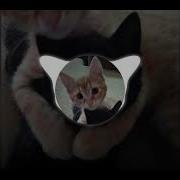 Madk1d Толпы Soni4 Remix Speedup
