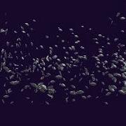 Fast And Easy Rigidbody Boids In Unity