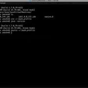 How To Manage Multiple Java Versions MAC Linux