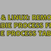 Unix Linux Removing Zombie Process From The Process Table 2 Solutions
