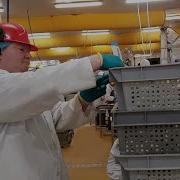 The Rework Challenge Food Traceability