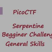 PicoCTF 2022 Serpentine PicoMini General Skills Challenges