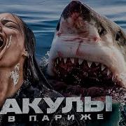 ТРЕШ ОБЗОР фильма АКУЛЫ В ПАРИЖЕ Олимпиаду во Франции отменят
