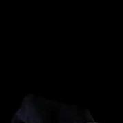 MorphableAnimatedModel