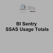 BI Sentry SSAS Usage Totals