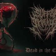 Dead In The End Single 2026