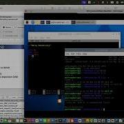 Linux Shell Scripting On Raspberry Pi OS