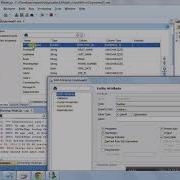 Entity Object Attribute Settings And Configurations