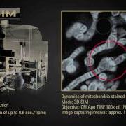 Nikon Welcome To Imaging Beyond The Diffraction Limit