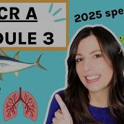 OCR A Level Biology Module 3 Exchange Surfaces Transport In Animals And Plants Complete Guide