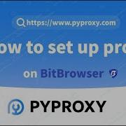 PYPROXY How To Set Up Proxy On BitBrowser