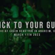 197 Drum Cam Stick To Your Guns 03 17 2023